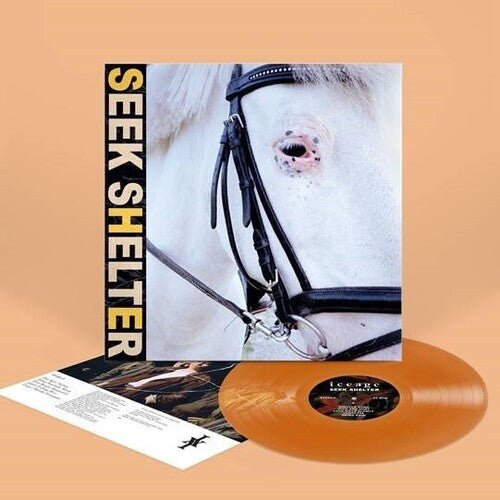 Iceage - Seek Shelter [Orange Vinyl] (New Vinyl LP) - Ncstcrbnt